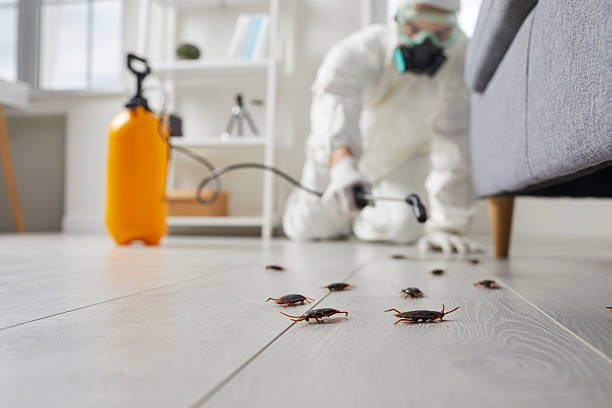 Commercial Kitchen Cockroach Control in Redgranite